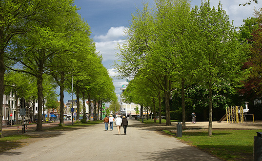 De Nieuwe Heeren